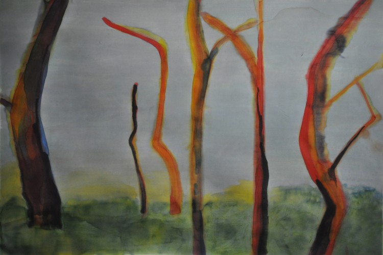 akvarell 80x115